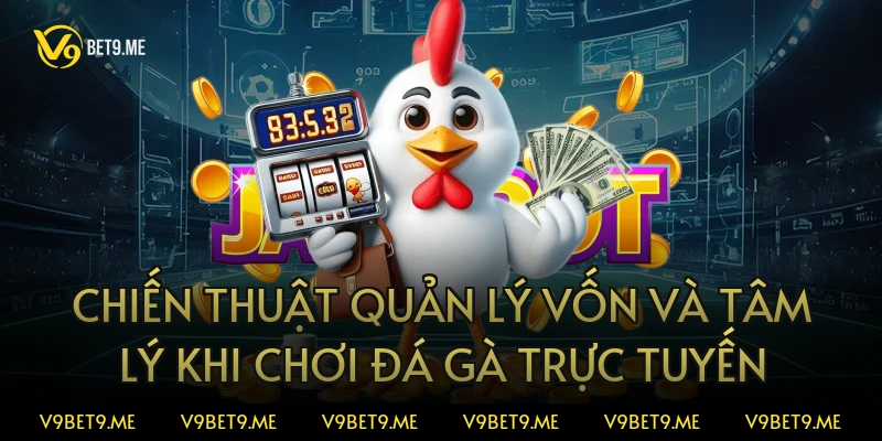 Chiến thuật quản lý vốn và tâm lý khi chơi đá gà trực tuyến
