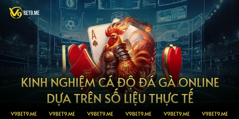 Kinh nghiệm cá độ đá gà online dựa trên số liệu thực tế